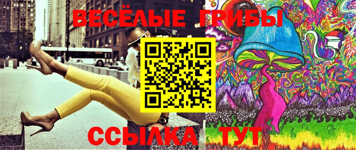 Галлюциногенные грибы Cubensis Норильск