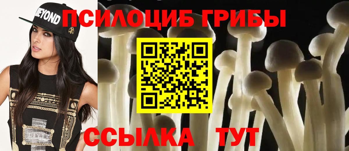 Галлюциногенные грибы MAGIC MUSHROOMS  Галлюциногенные грибы прущие грибы  Норильск  Вход с VPN 