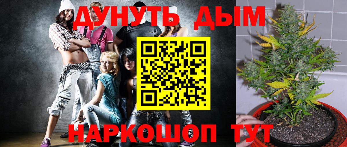 Конопля OG Kush Норильск